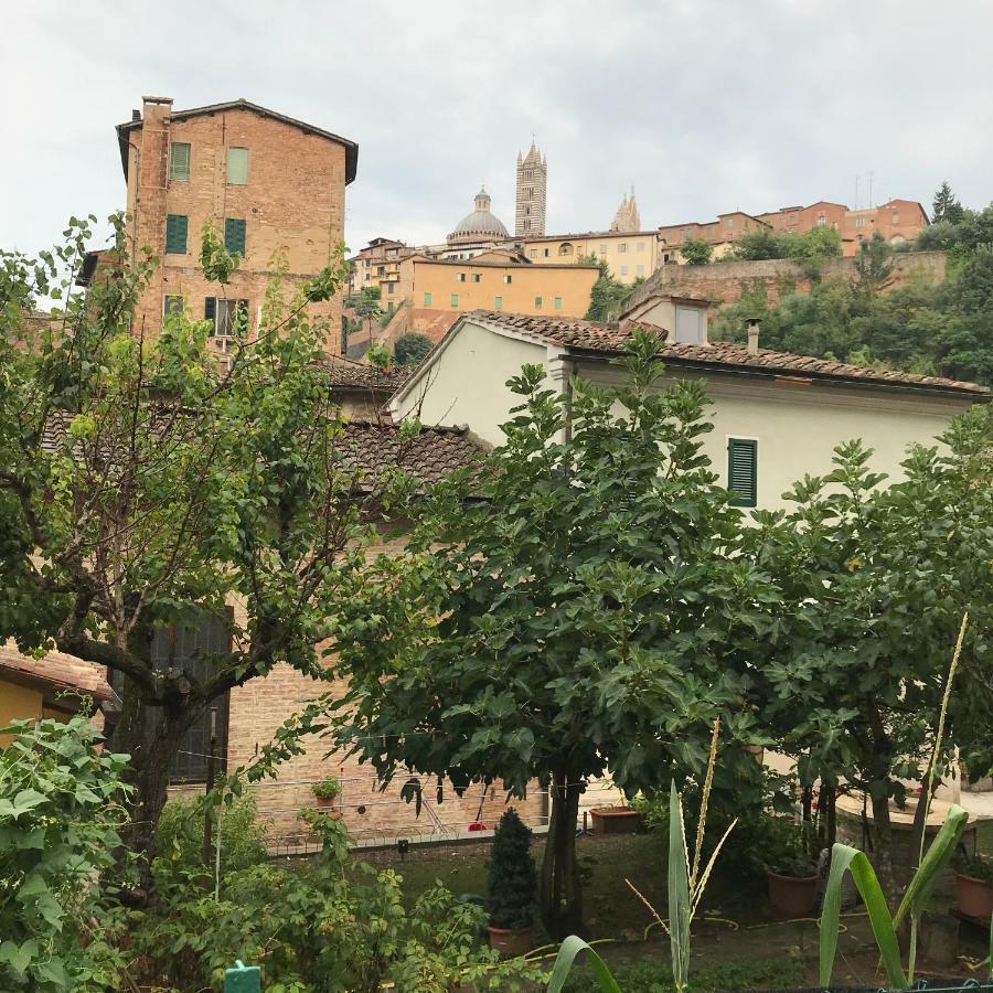 To Dream In Siena Leilighet Eksteriør bilde